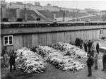 14 poblacions de la Ribera apareixen en la relaci dels espanyols morts en els camps de concentraci nazis de Mauthausen i Gusen