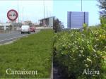 Ruta del colesterol: suciedad y dejadez en Alzira frente a limpieza y cuidado en Carcaixent