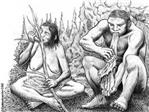 Los grupos neandertales basaban parte de su modo de vida en la divisin sexual del trabajo