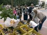 La Taula de la Solidaritat d'Almussafes arreplega ms de 60 caixons de  menjar en el Dissabte Solidari