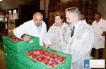 La Cooperativa de Carlet exportar el 80 % de la produccin de la campaa de melocotn y nectarina