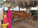 4.300 familias de Anantapur, en la India, disponen de biogs para cocinar