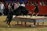Muere Ratn, el toro ms meditico. Se despidi en Sueca en 2011, slo haca exhibiciones