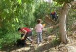 Ms de cent voluntaris netegen rius a Riola i sis pobles ms