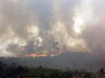 Ms de la mitad de los afectados por el incendio en la Ribera siguen sin cobrar