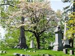 Woodlawn, un cementerio con un inmenso xito comercial