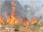 Extinguido otro incendio de matorrales en el polgono Tisneres de Alzira