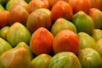 El Perell subasta con fines benficos el primer lote de tomates de la temporada