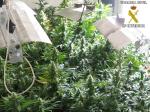 Desmantelan en Albalat de la Ribera un laboratorio clandestino dedicado al cultivo ilegal de marihuana