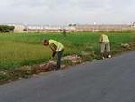 Benifai contrata a 59 vecinos para obras de mejora de caminos rurales durante el verano