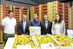 La Tertulia de Sueca se adjudica el primer lote de tomate de El Perell de la campaa 2013 por 680 