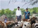 Ahogados por la sequa; el 70% de las familias indias que vive del campo se endeuda para sobrevivir