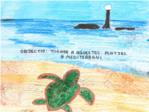 Al voltant de 350 alumnes de Cullera participen en el concurs de dibuix Tortugues en el Mediterrani