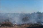 Incendi rpidament controlat a lurbanitzaci San Cristbal d'Alberic