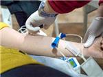 Carlet acull la VIII Marat de la Donaci de Sang