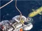 Cientficos del CSIC identifican una nueva falla en el mar de Alborn