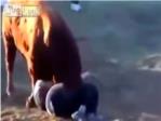 Cogida interminable. Un toro se ceba con un joven y lo tiene a su merced casi 3 minutos!