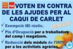  Comproms i PSOE de Carlet voten en contra de les ajudes per a palliar les gelades del caqui