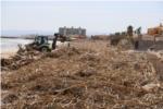 Costes comena a retirar les canyes de les platges del sud de Cullera