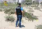 Detinguts dos menors per agredir sexualment a una jove a la platja de Cullera