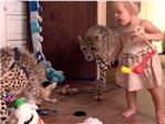 Dos nios crecen en su casa junto a dos guepardos salvajes