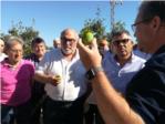 El Gobierno tratar de forma preferente las zonas devastadas por el granizo en la Ribera