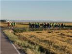 El grup senderista Olivetes Xafaes de Sueca realitza una ruta ecolgica replegant deixalles de la marjal