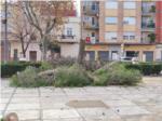 Els vens del Parc Salvador Castell denuncien la tala indiscriminada dels arbres que du a terme el Consistori a Algemes