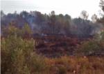 Grcies a la rpida intervenci dels bombers, l'incendi de Pi d'Ambrosio a L'nova va quedar controlat