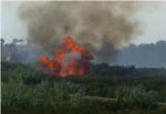  Incendis afecten als termes municipals dAlbalat de la Ribera i Poliny de Xuquer