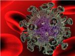 Investigadores del CSIC participan en el desarrollo de una vacuna frente al VIH