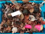 La basura invade las redes de pesca en las reas cercanas a las ciudades