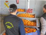 La Guardia Civil investiga a 4 personas implicadas en la sustraccin y venta ilcita de 26.000 kg de naranjas en Crcer