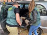 La Gurdia Civil det als responsables del robatori de diversos catalitzadors a Corbera i Sueca