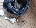 La Policia Local d'Almussafes investiga la mort de molts pardals al Parc del Pontet