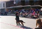 La Polica Local de Benifai presenta su nueva Unidad Canina
