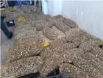 La Policia Local de lAlcdia i Seprona dAlzira han intervingut els 500 kg de caragols