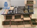 La Policia Nacional desarticula a Alzira una organitzaci dedicada al cultiu de marihuana i a delictes contra el patrimoni
