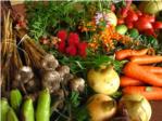 LA UNI de Llauradors demana la suspensi de les importacions de fruites i hortalisses de Turquia