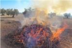 LA UNI demana a Conselleria d'Agricultura una ampliaci del perode de cremes agrcoles fins al 16 de juny