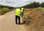 LAlcdia contracta 70 persones com a peons agropecuaris per a la neteja de camins i paratges