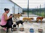 L'Alcdia participa, junt amb 34 pobles de la Ribera, en el primer refugi pblic d'animals