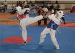 L'Alcdia va acollir el passat diumenge el III Open de Taekwondo