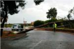 Les fortes pluges provoquen la caiguda d'un pi en la carretera de Cotes a Sumacrcer