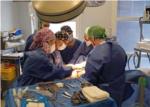 L'Hospital de la Ribera forma a residents d'altres provncies en les tcniques ms avanades de cirurgia oncolgica de mama