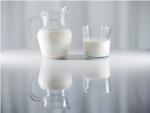 Los europeos empezaron a digerir la leche en la edad adulta hace 4.000 aos