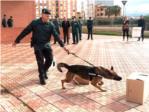 Los perros adiestrados de la Guardia Civil, eficientes en la localizacin de drogas, personas y explosivos