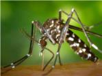 Noves actuacions contra el mosquit tigre i la mosca negra a l'Alcdia