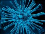 Nuevos mtodos de diagnstico del coronavirus