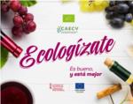 PROAVA y el CAECV organizan el I Concurso de Vinos Ecolgicos de la Comunitat Valenciana